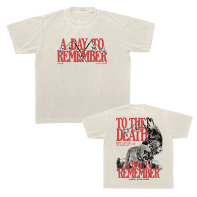 Hardcore Punk Aesthetic A Day to Remember T-Shirt
